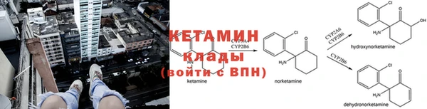PSILOCYBIN Абдулино