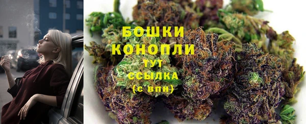 PSILOCYBIN Абдулино