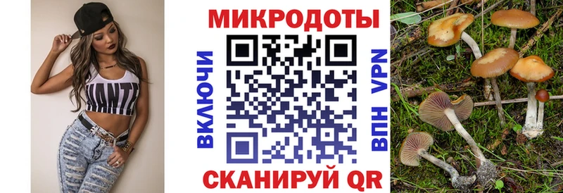Галлюциногенные грибы Cubensis  наркошоп  Торопец 